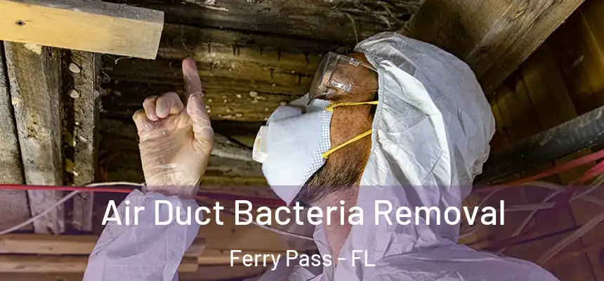 Air Duct Bacteria Removal Ferry Pass - FL