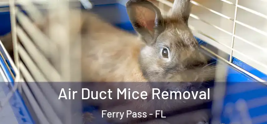 Air Duct Mice Removal Ferry Pass - FL