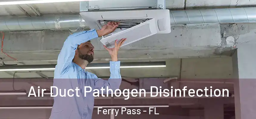 Air Duct Pathogen Disinfection Ferry Pass - FL