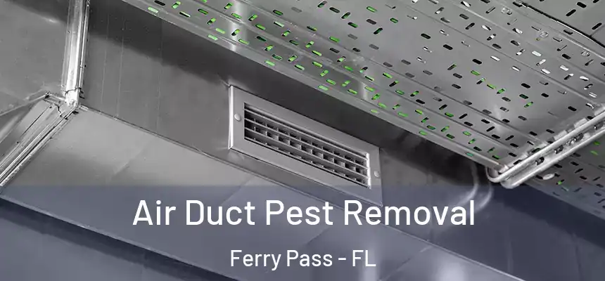 Air Duct Pest Removal Ferry Pass - FL