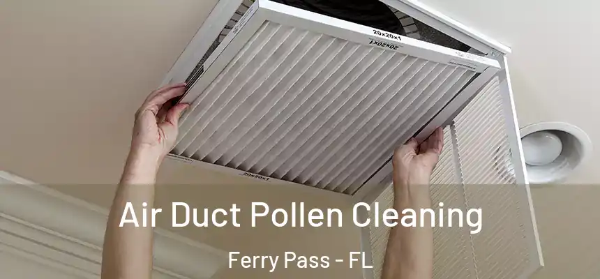 Air Duct Pollen Cleaning Ferry Pass - FL