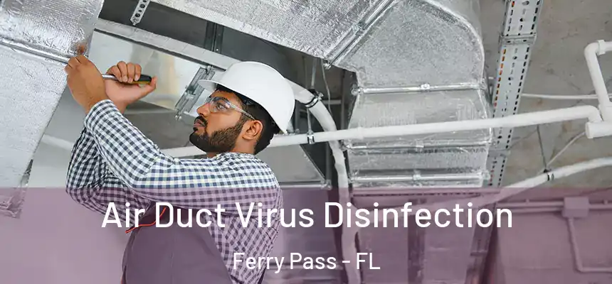 Air Duct Virus Disinfection Ferry Pass - FL