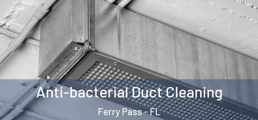 Anti-bacterial Duct Cleaning Ferry Pass - FL