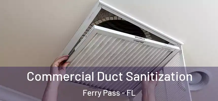 Commercial Duct Sanitization Ferry Pass - FL