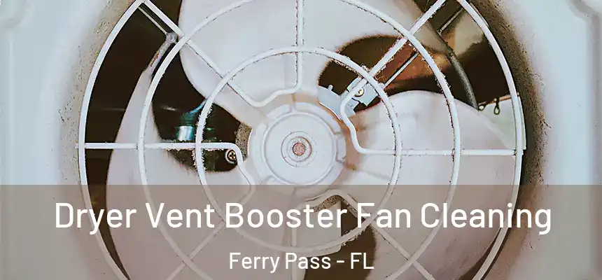 Dryer Vent Booster Fan Cleaning Ferry Pass - FL