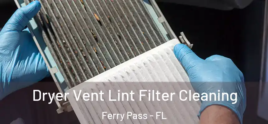 Dryer Vent Lint Filter Cleaning Ferry Pass - FL