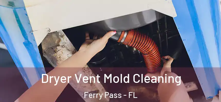 Dryer Vent Mold Cleaning Ferry Pass - FL
