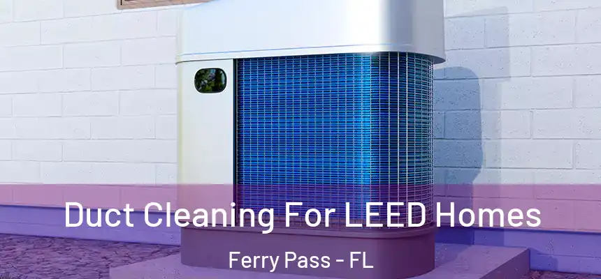 Duct Cleaning For LEED Homes Ferry Pass - FL