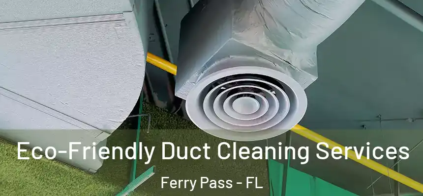 Eco-Friendly Duct Cleaning Services Ferry Pass - FL