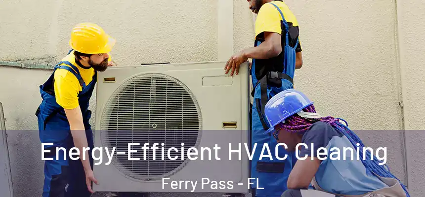 Energy-Efficient HVAC Cleaning Ferry Pass - FL