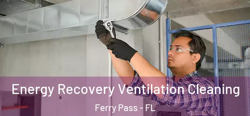 Energy Recovery Ventilation Cleaning Ferry Pass - FL