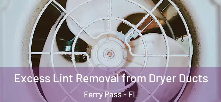 Excess Lint Removal from Dryer Ducts Ferry Pass - FL