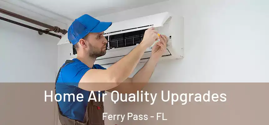 Home Air Quality Upgrades Ferry Pass - FL