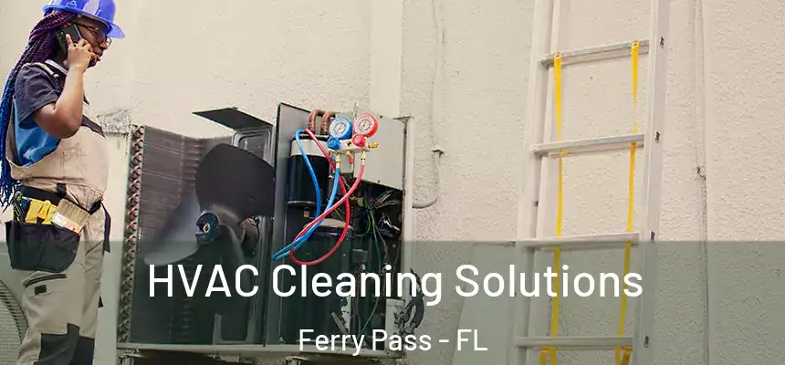HVAC Cleaning Solutions Ferry Pass - FL