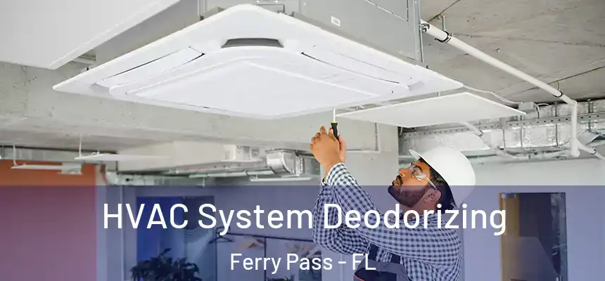 HVAC System Deodorizing Ferry Pass - FL