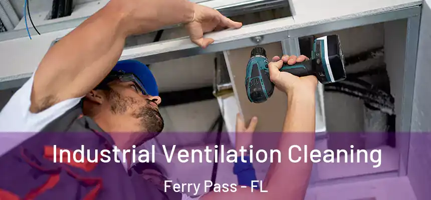 Industrial Ventilation Cleaning Ferry Pass - FL