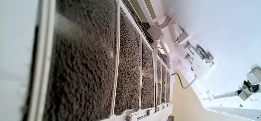 Preventive Air Duct Bacteria Removal in Ferry Pass