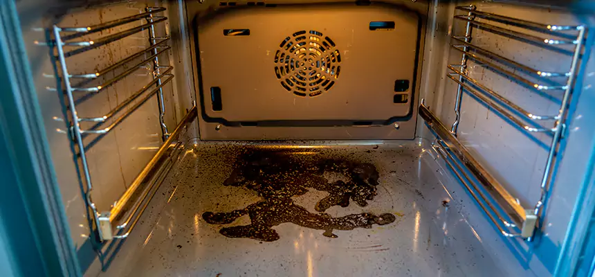 Our Dryer Vent Mold Cleaning Services in Ferry Pass, FL