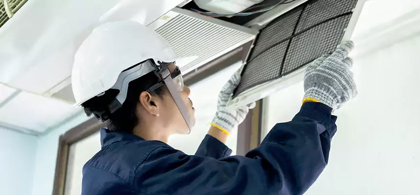 Our Mold & Mildew Removal from Air Ducts Services in Ferry Pass, FL