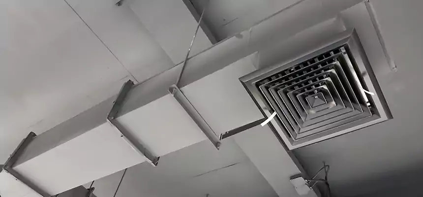 Our Rodent Droppings In Vents Services in Ferry Pass, FL