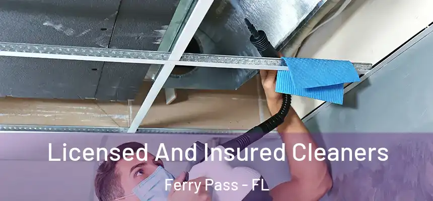 Licensed And Insured Cleaners Ferry Pass - FL