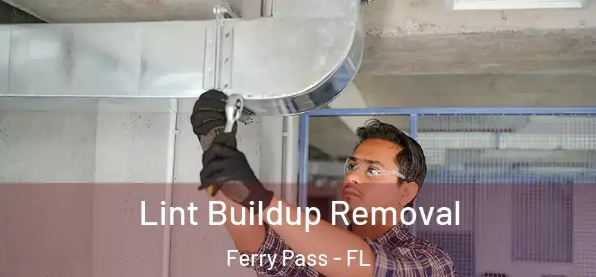 Lint Buildup Removal Ferry Pass - FL