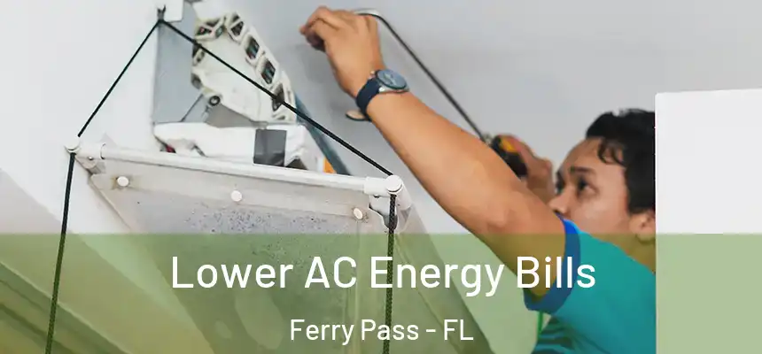 Lower AC Energy Bills Ferry Pass - FL
