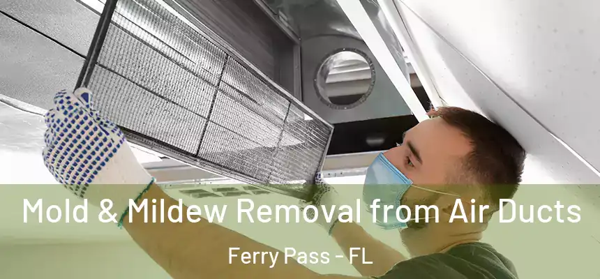 Mold & Mildew Removal from Air Ducts Ferry Pass - FL