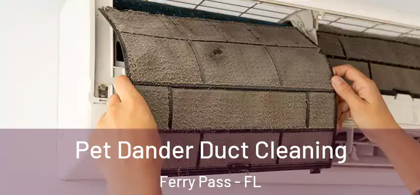 Pet Dander Duct Cleaning Ferry Pass - FL