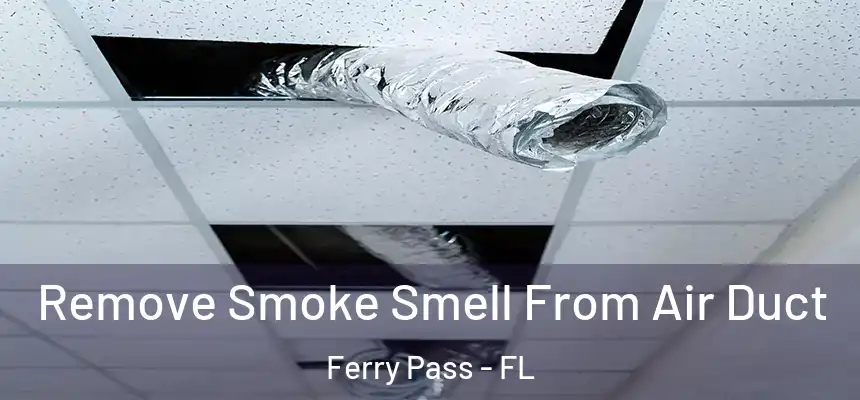 Remove Smoke Smell From Air Duct Ferry Pass - FL