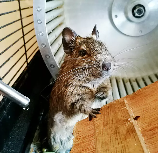 Why Homeowners & Businesses Trust Us Ferry Pass, FL