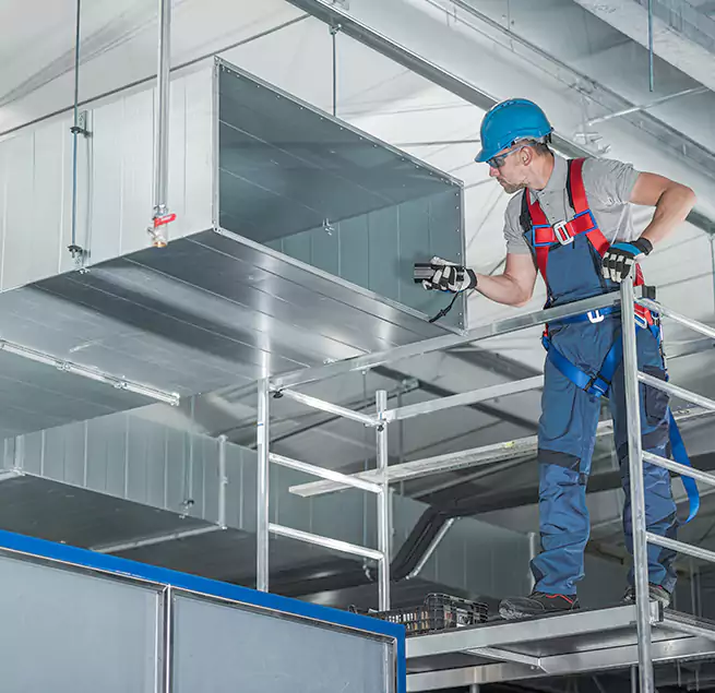 Why Homeowners & Businesses Trust Us in Ferry Pass, FL?