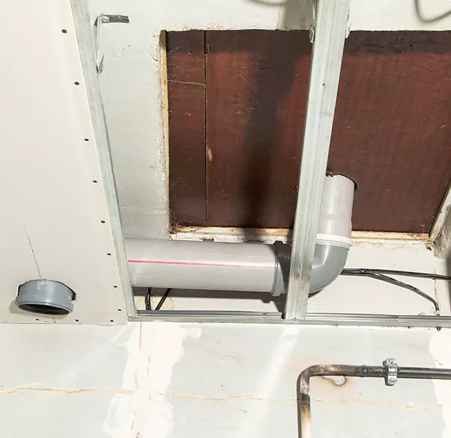 Why Homeowners & Businesses Trust Us in Ferry Pass, FL?