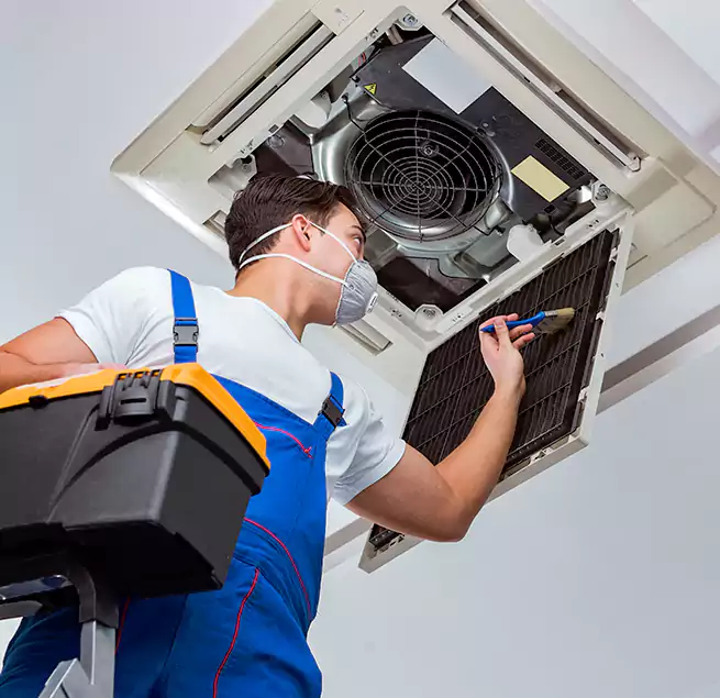 Why Homeowners & Businesses Trust Us in Ferry Pass, FL