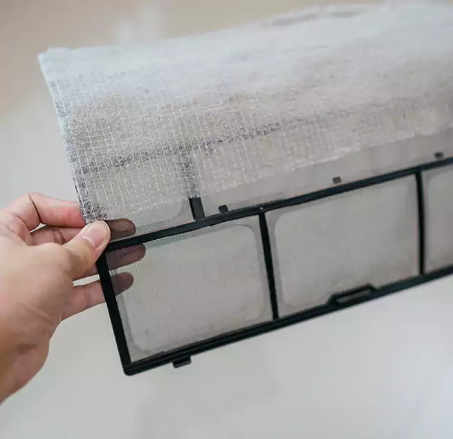 Why Homeowners & Businesses Trust Us in Ferry Pass, FL?