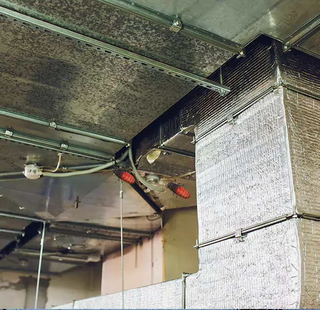 Why Homeowners & Businesses Trust Us Ferry Pass, FL?