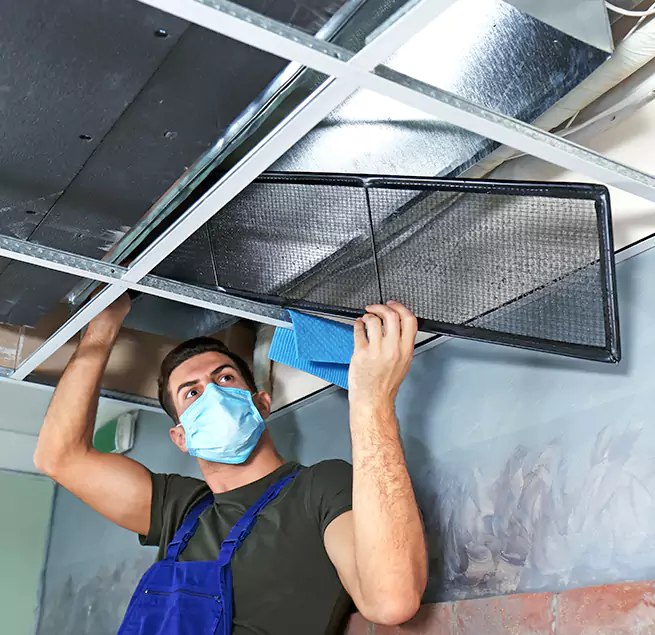 Why Homeowners Businesses Trust Us in Ferry Pass, FL?