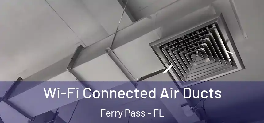 Wi-Fi Connected Air Ducts Ferry Pass - FL